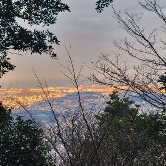 市街地がモルゲンロート🌄😂