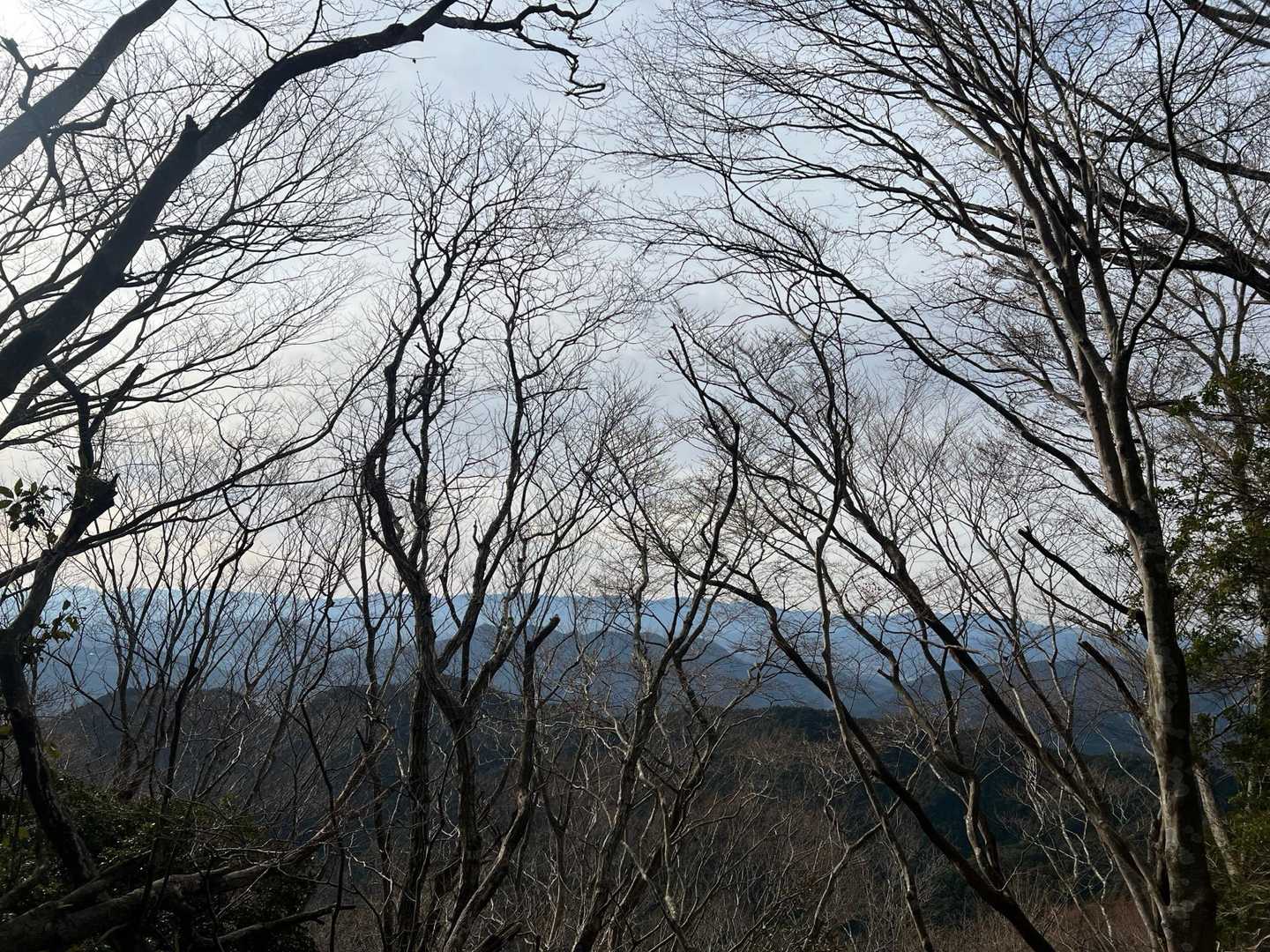 今だから見える景色