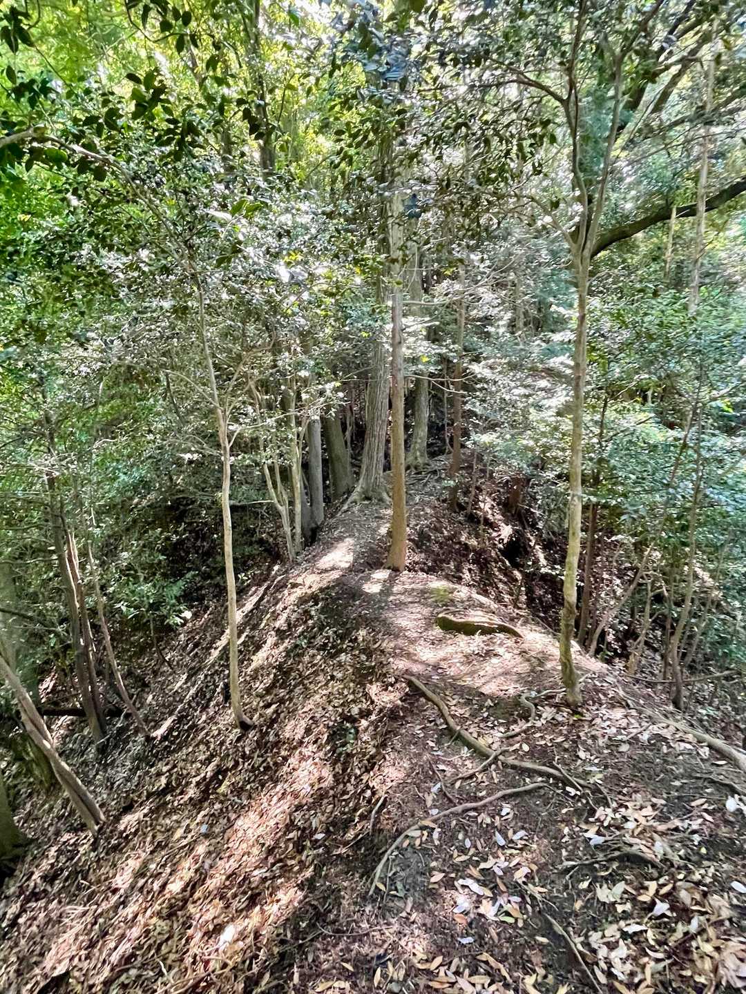南郷バス停-立木山-袴腰山-袴腰山登り口 縦走コースの写真