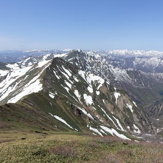 最高ですね。