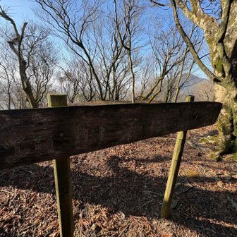 筑前茅城(ちくぜんかやんじょう)跡