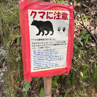 やっぱりクマ出るんですね