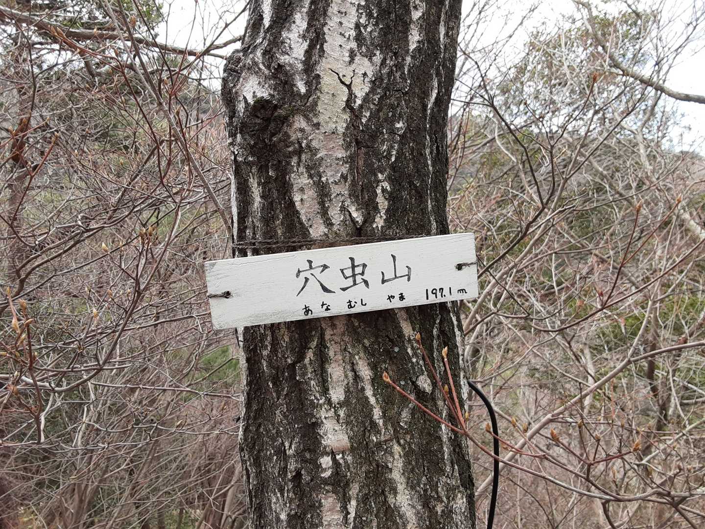 穴虫山。
※しんどすぎる、もう来たくない😭