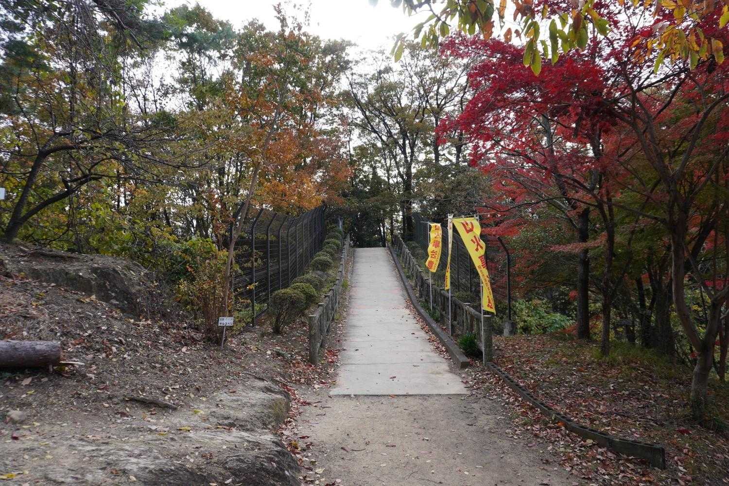 吾妻公園駐車場-吾妻山 往復コースの写真