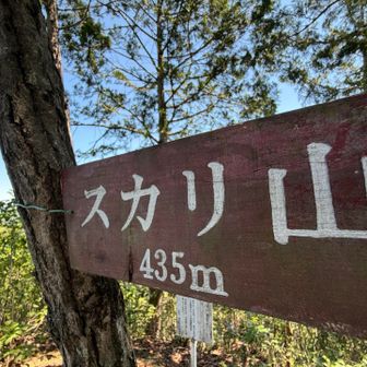 スカリ山でコーヒータイム☕️
乾いた風が吹いていて気持ちいい☺️