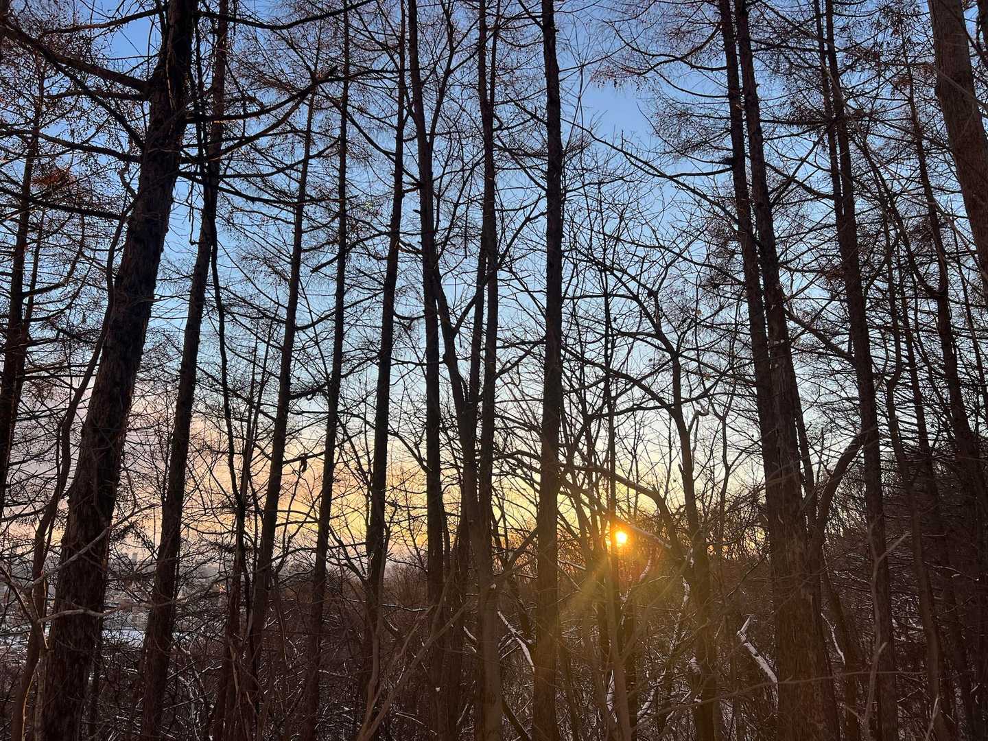 三角山往復｜初めての山歩でも安心して札幌市街地を一望の写真