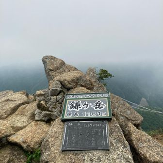 今日の山頂は、風強めな為虫が飛んで無い。