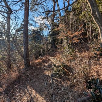 ベンチ　前はコブシ岩からガケを降りたことがあります。