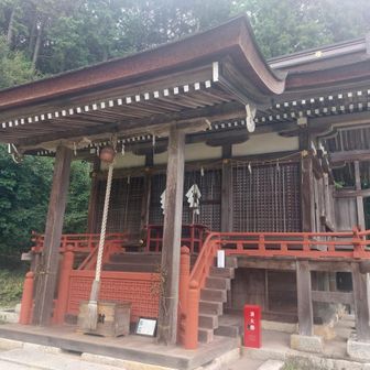 登る石段を間違えて早尾神社にお参り🙏