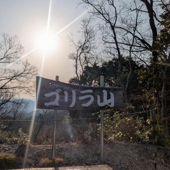 ゴリラ山もすぐでした🦍
そこにいらした陽気な地元のおじさま🕺🎶
