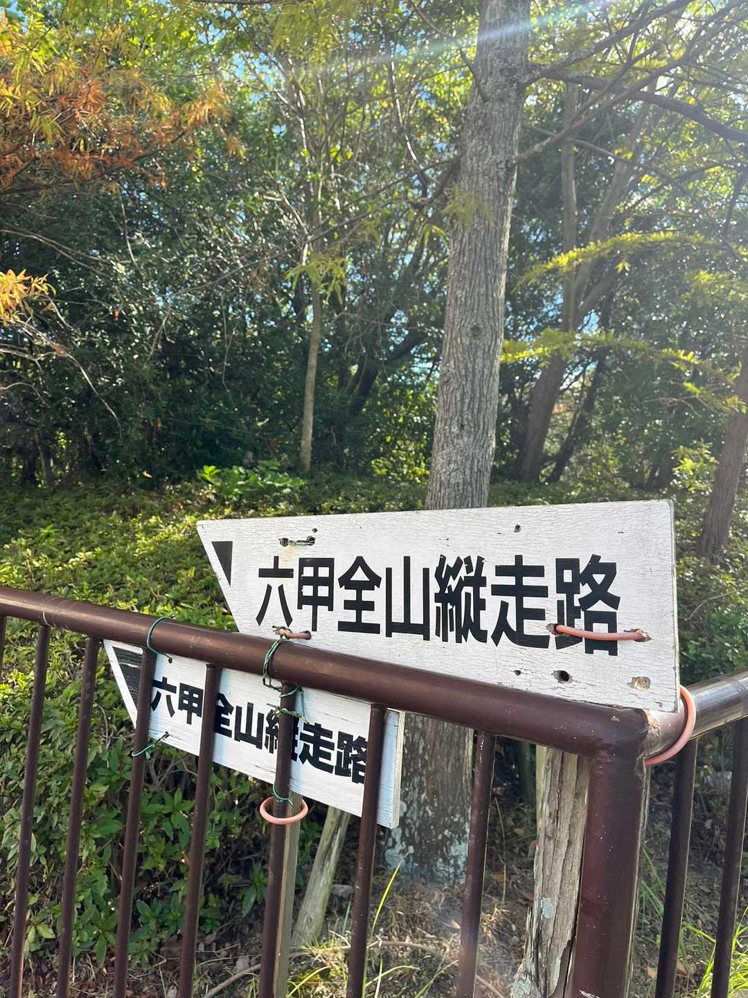 六甲山縦走路を歩きます！
