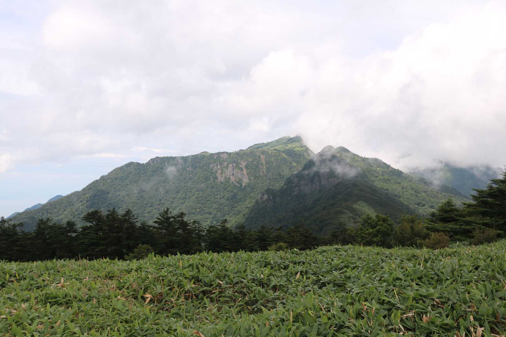 シラサ峠-伊吹山 往復コースの写真
