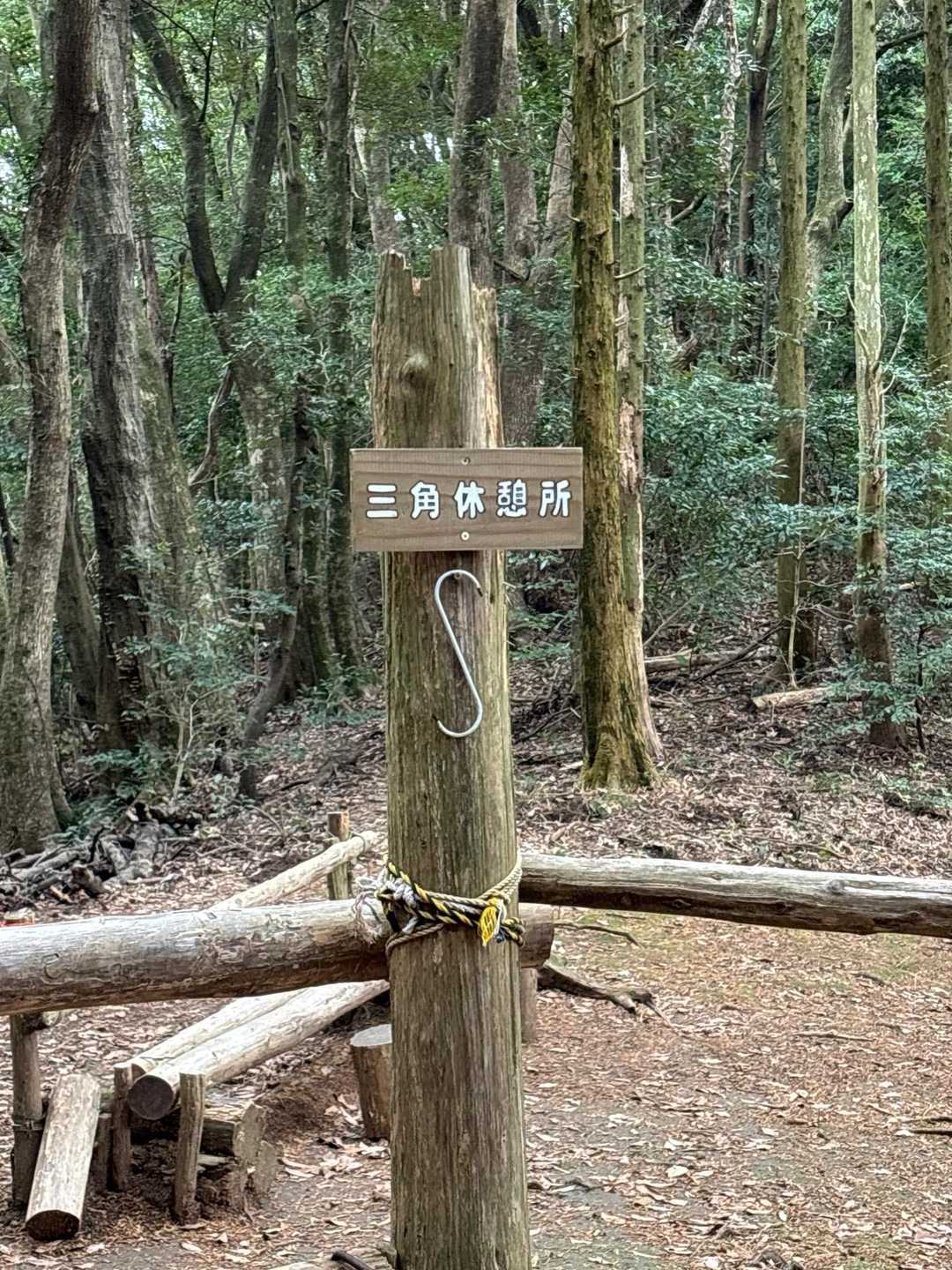 岩屋神社登山口-岩屋山 周回コースの写真