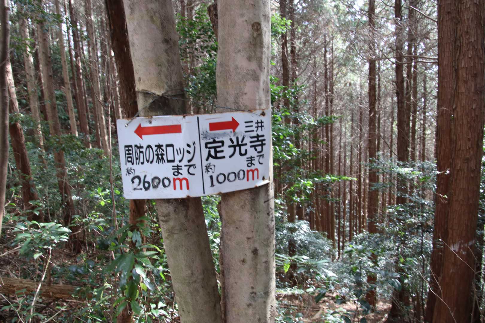 虎ヶ岳観音寺コース登山口-虎ヶ岳 往復コースの写真