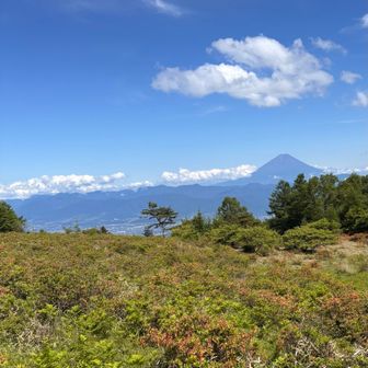 甘利山戻りました〜
レンゲツツジのシーズンに来たら最高だろうなぁ