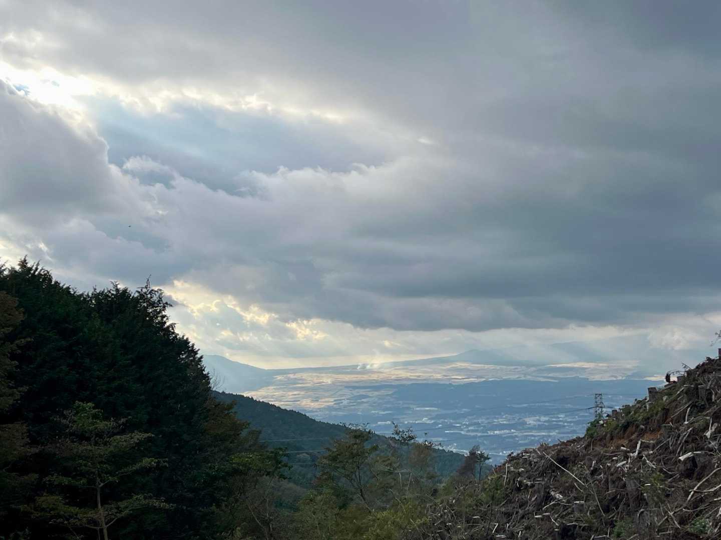 大野路方面のススキ🌾