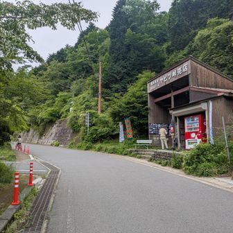 そしてヤビツ峠到着😊
「お疲れさま」と思っていたら、次のバスまで二時間待ちとの事😵
ないないっ🙅
という事で、蓑毛まで下る事に…。