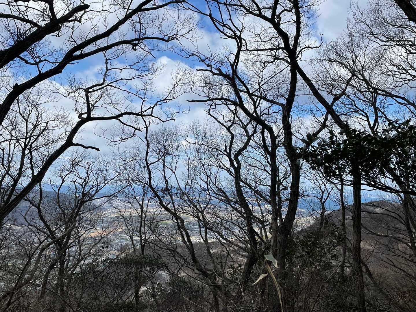 北側は瀬戸大橋と坂出市内のチラリズム✨さあ戻ろう⁉️
ピストンの予定だったけど、jnkさんの軌跡が頭にチラつく💦