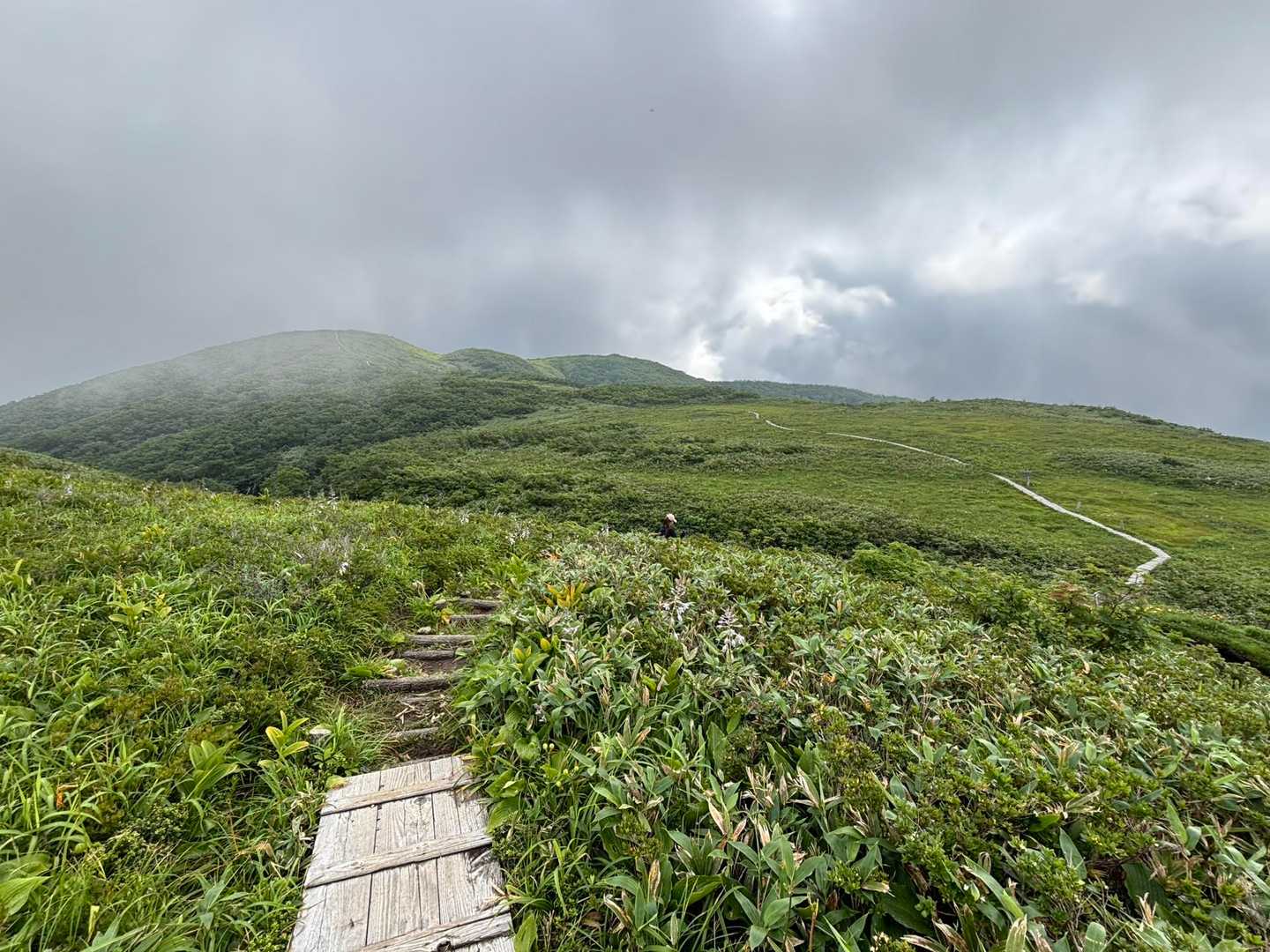 木道であの先まで行きますよ〜🚶‍➡️