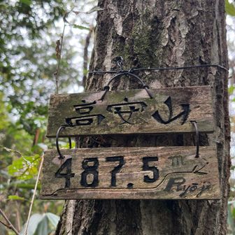 山頂到着