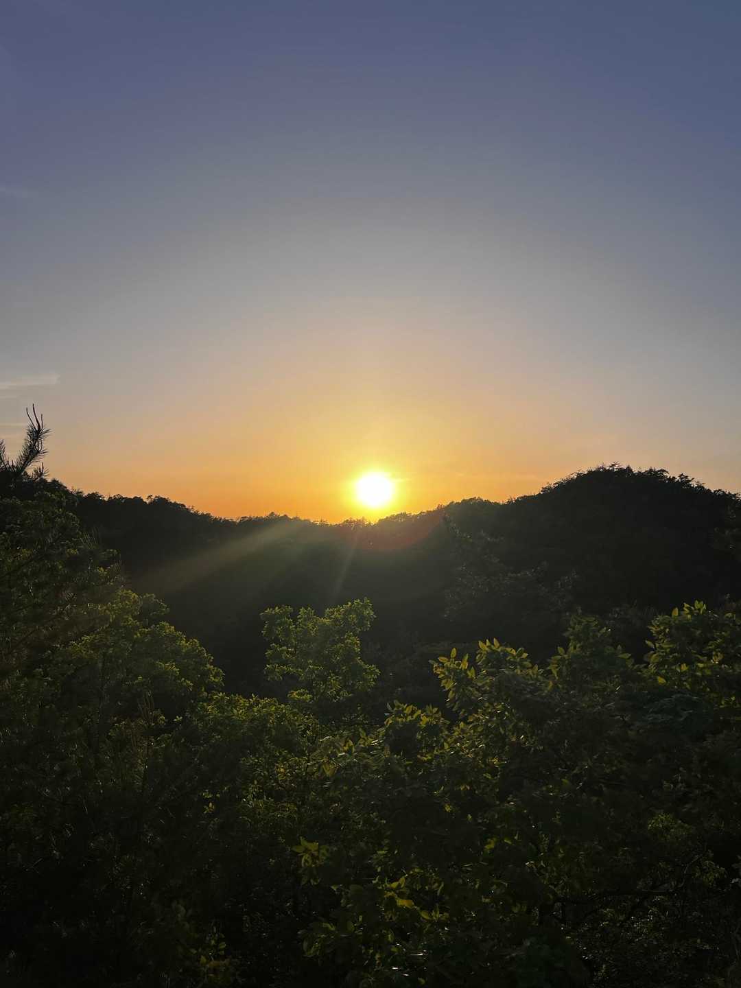 千疋北山入口-千疋北山 往復コースの写真