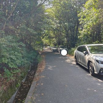 活動完了🔚
流石の屋代コース🚙🚗🚙🚗🚙🚗
平日でも沢山の登山者様とすれ違いました✨
お疲れ様でした。