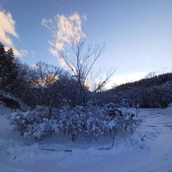 お疲れ様でした