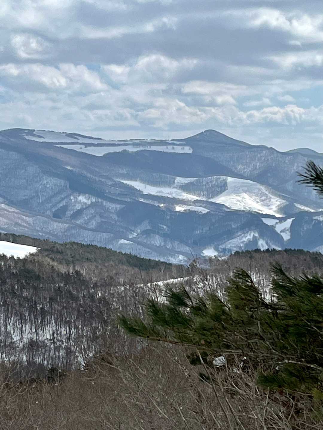 安家森と袖山高原