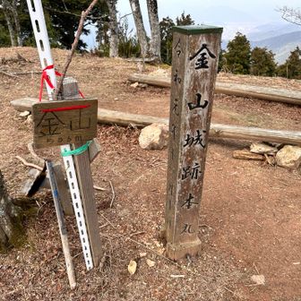 どうやら山頂が城址らしい