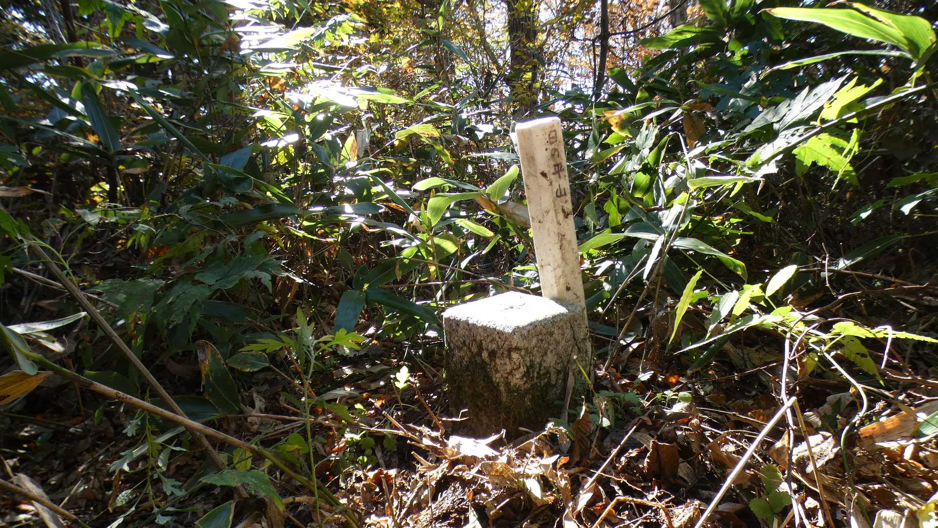 日の平山山頂
三等三角点
基準点名：日ノ平（ひのひら）

何もないのでさっさと折り返し。