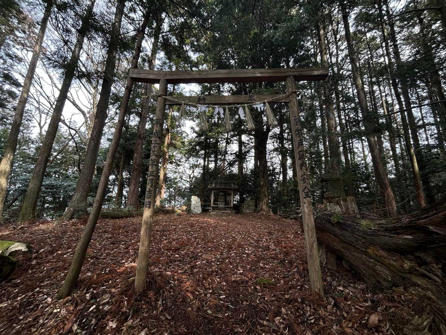 頂上⛰️