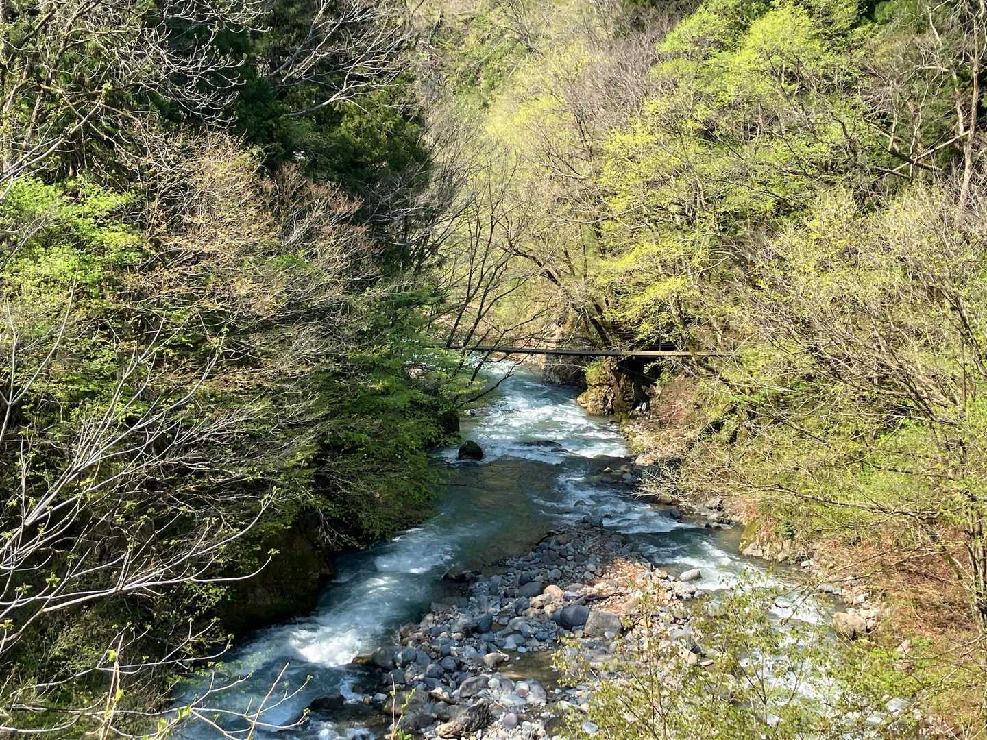 最初の吊り橋が見えるとこまで戻って来ました