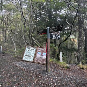 この分岐から小富士へ