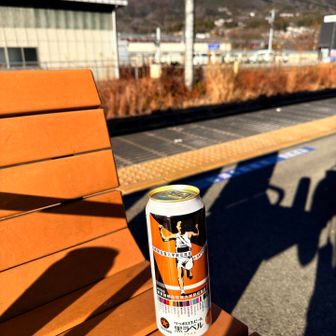 猿橋駅到着😮‍💨
(後ろは百蔵山)