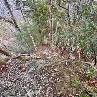 崖にしか見えん🫣這いつくばった様に登って来たし🤨