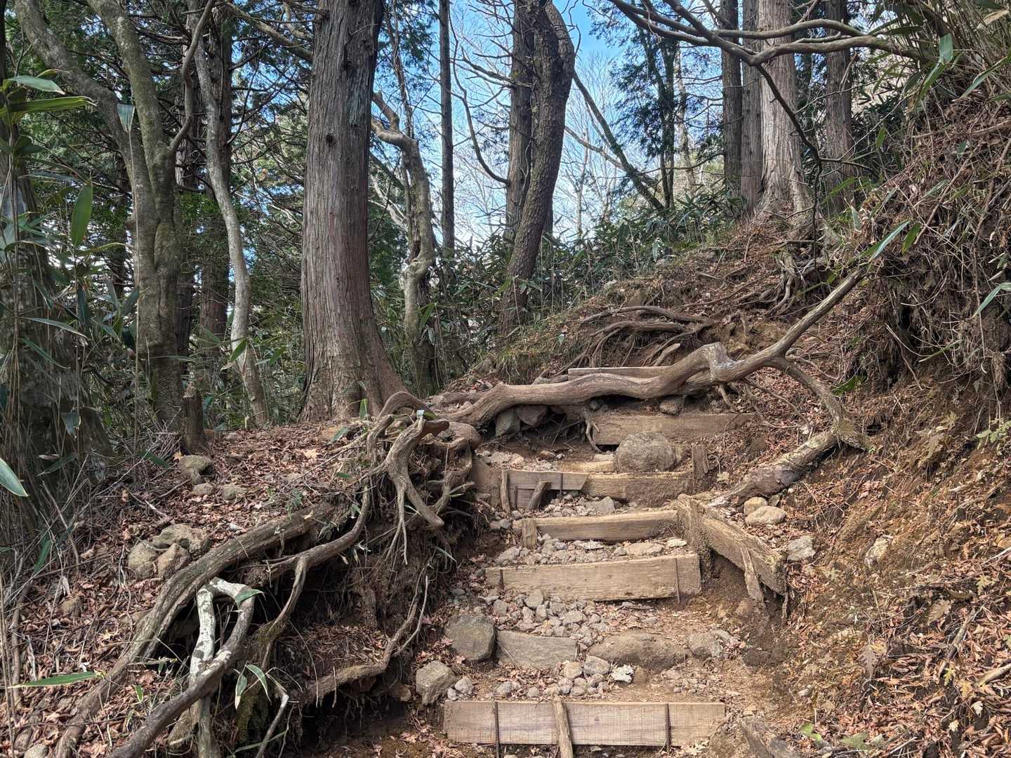 登り易い登山道はいいよなw