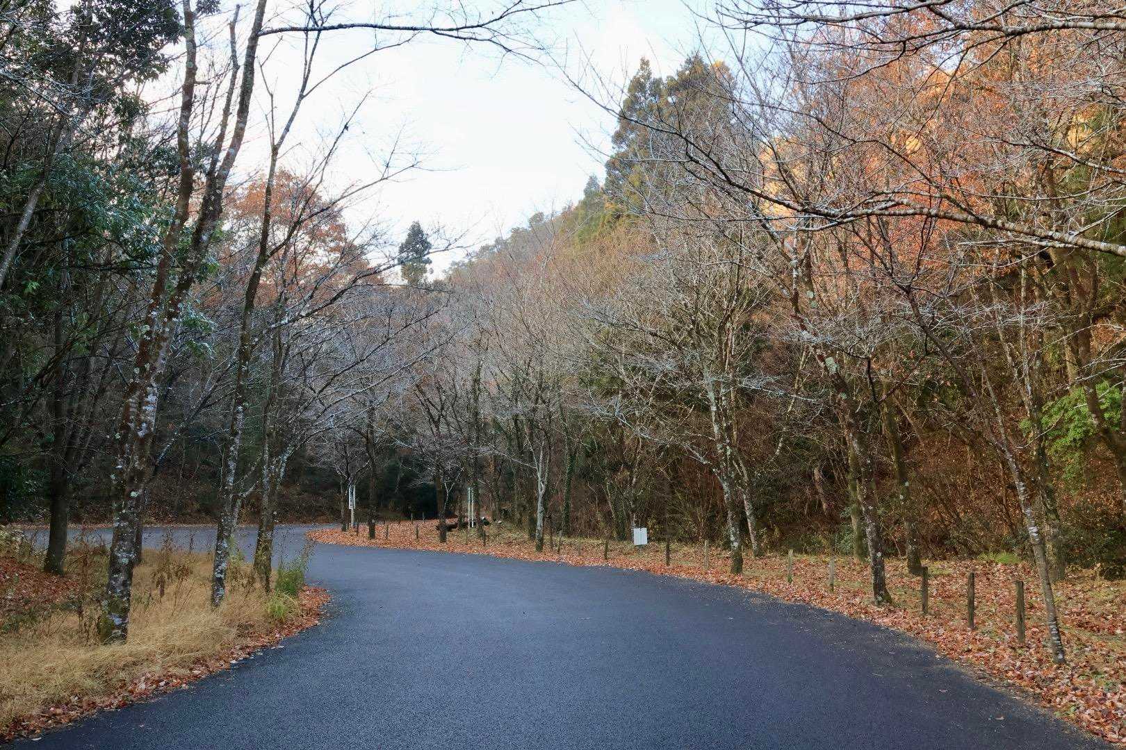 各務野自然遺産の森駐車場🅿️に停めて
広い駐車場なので安心