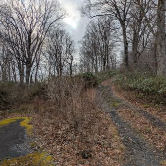 こっちは、左が黒滝上流へ行く道だね　右は？