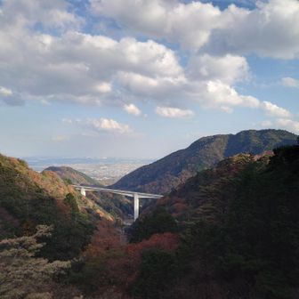 紅葉とカモシカ大橋