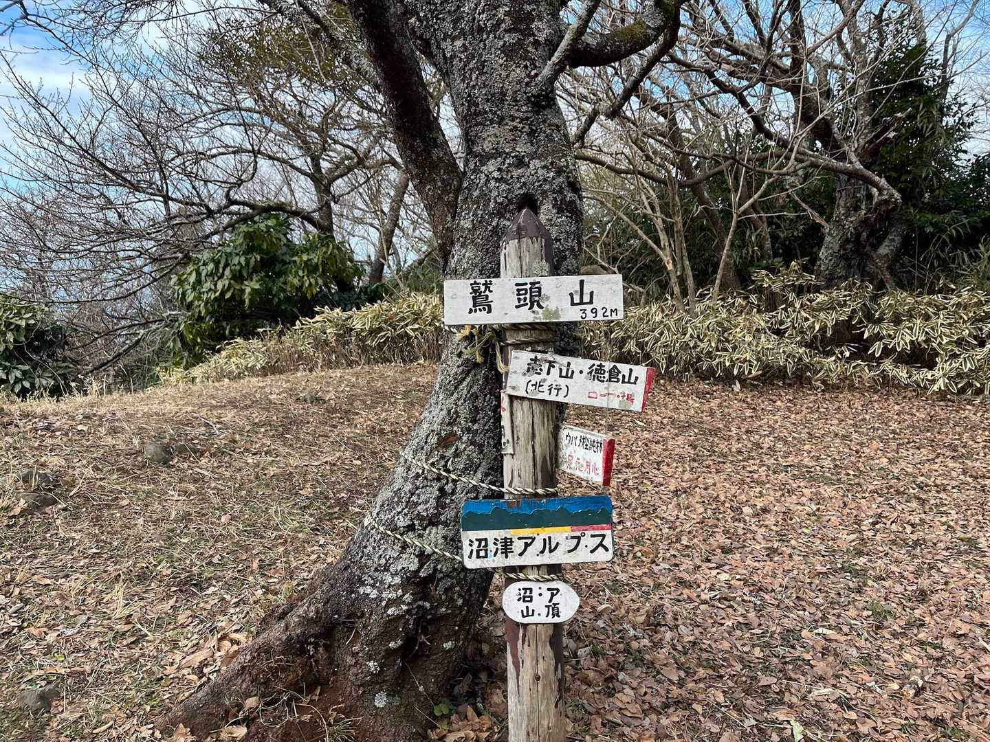 ここまでの登りもしんどかったー😅