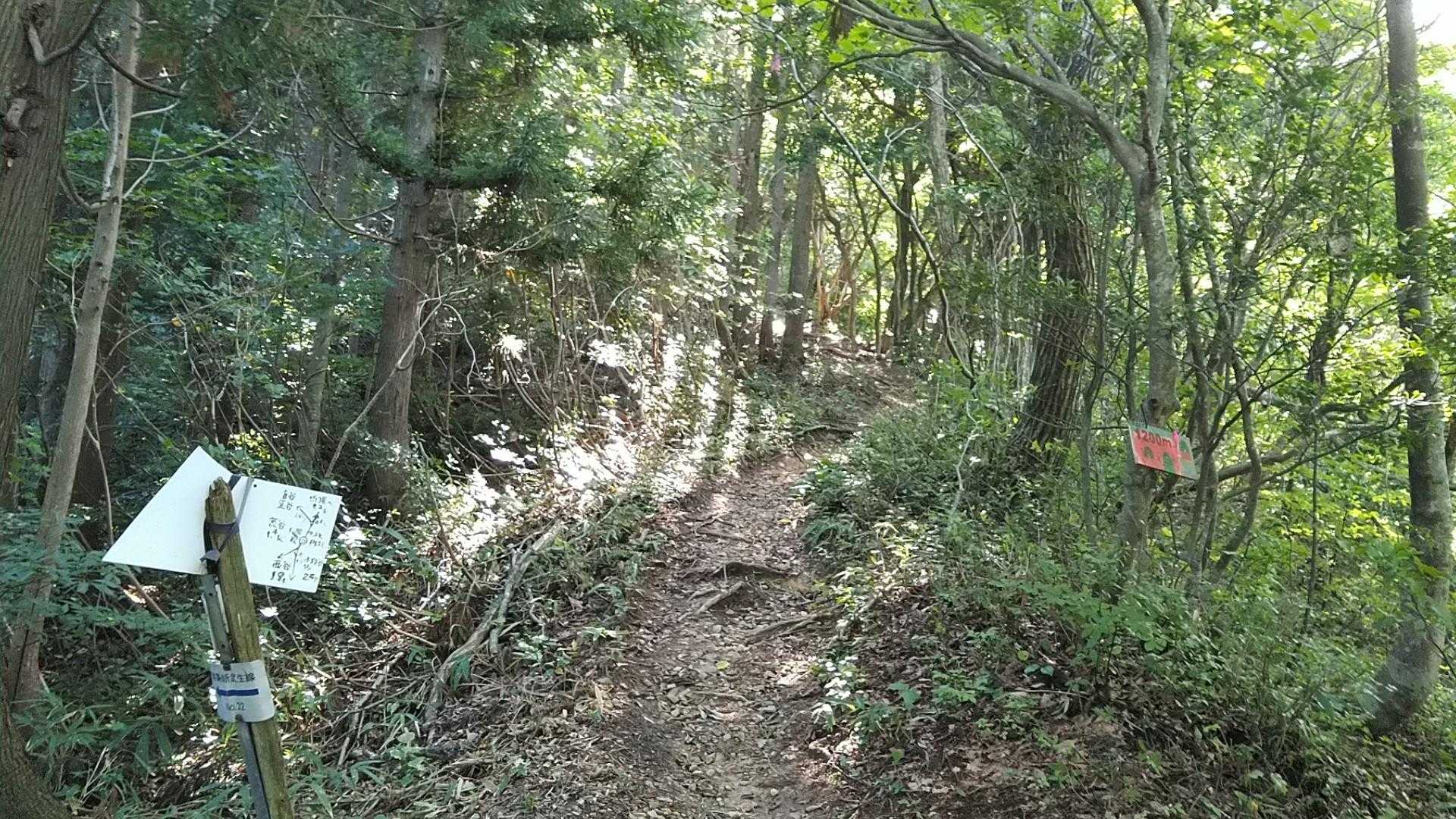 西谷分岐