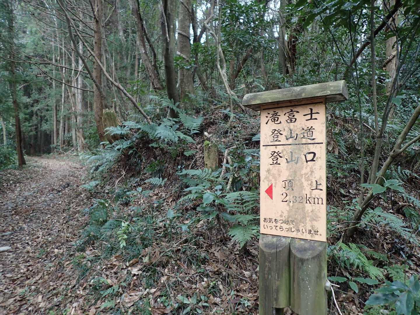 ここが登山口