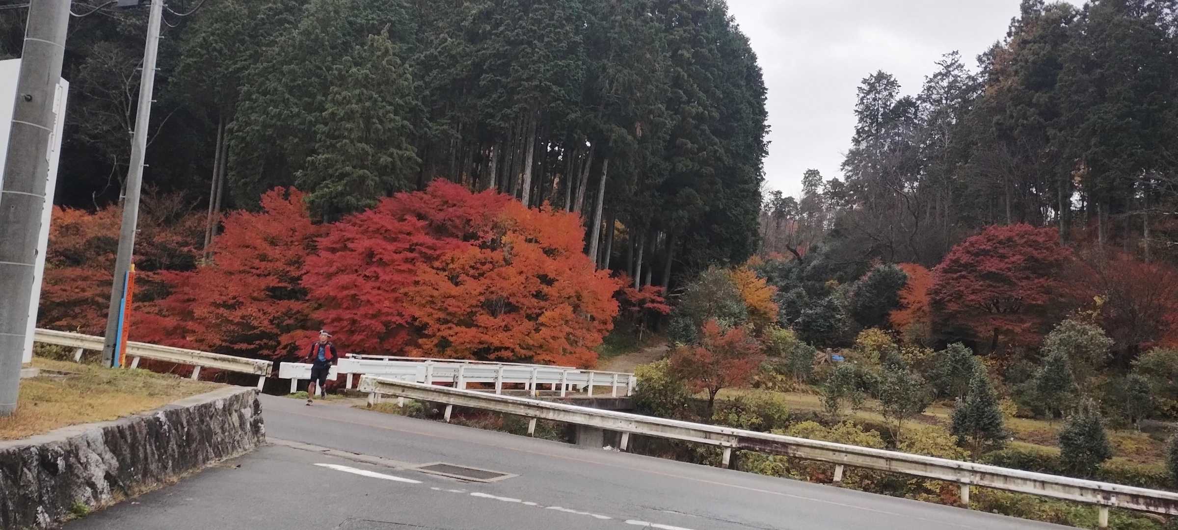 紅葉最高😊