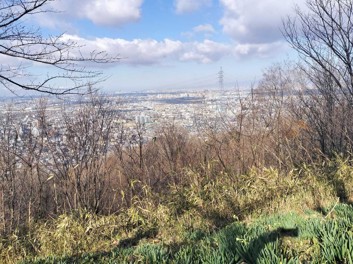 展望台の手前の水仙は
まだ蕾
