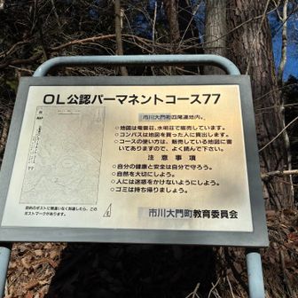 オリエンテーリングって今も有るのかな？