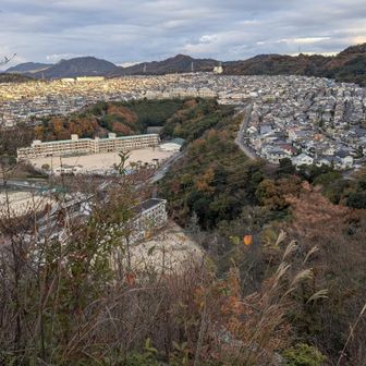 何度同じ轍を踏めばよいのやら…
自分の学習能力の無さ🤣