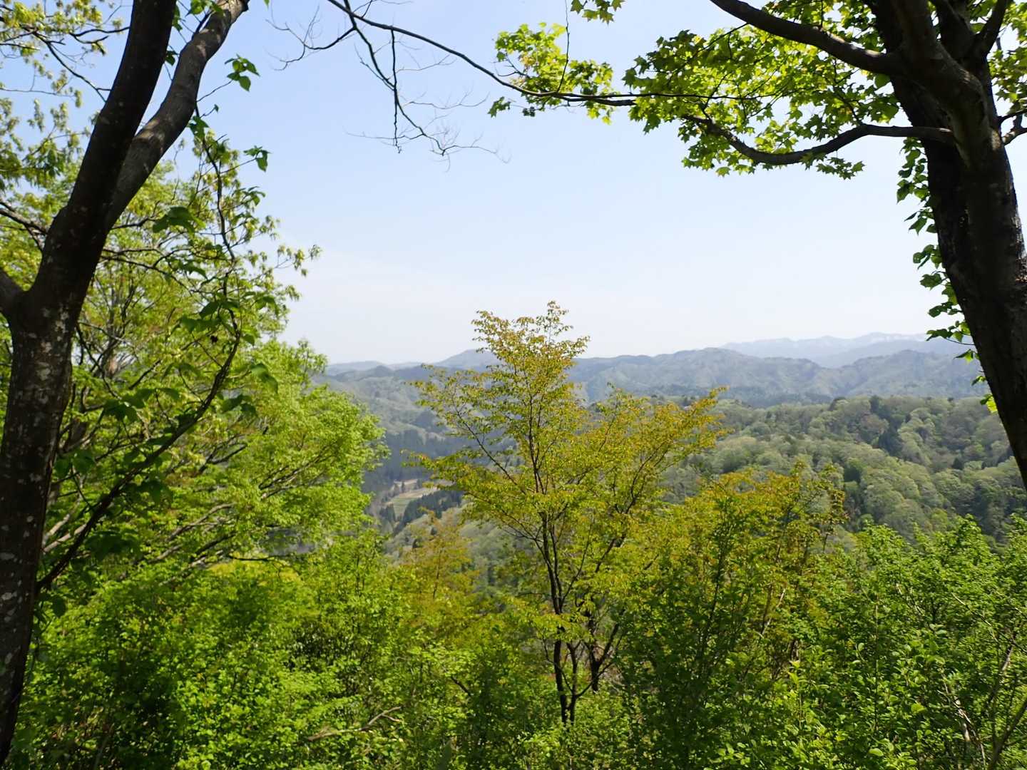木に隠れてるのは大倉岳？
