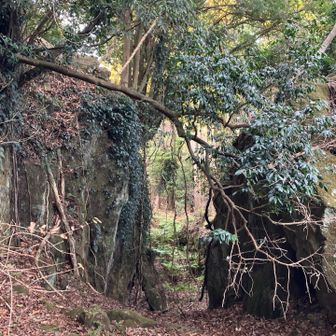 石切り場まで来たと思ったのですが、後でGPS見たら、この先に石切り場があるようです😒