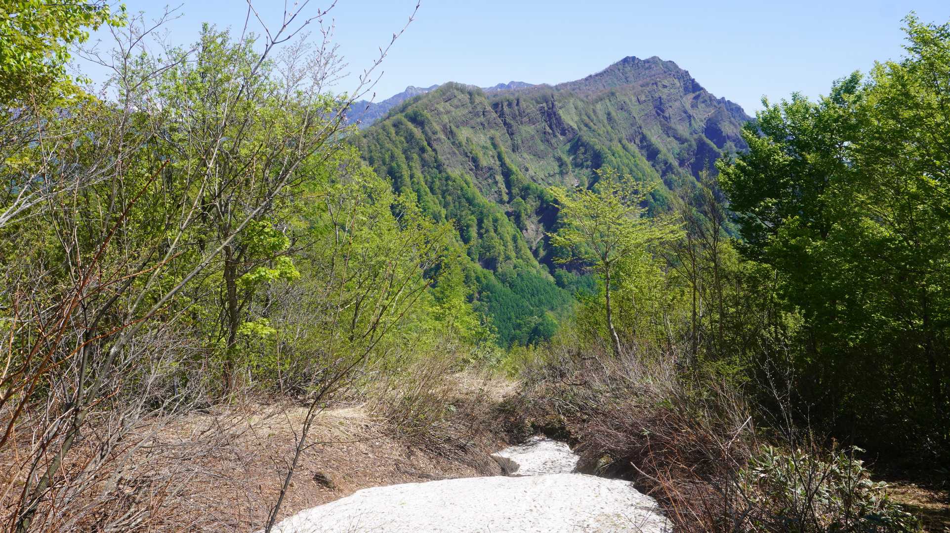 雪渓と新緑と戸隠連峰西岳