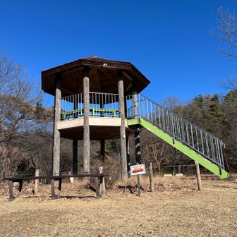 パノラマ展望台。スカイツリー、新宿副都心、富士山、浅間山。１２０度くらいの展望。